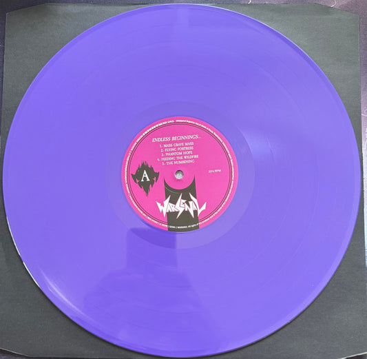 (PRESALE 6/5/26) Endless Beginnings... (PURPLE VINYL) | Mint (M) Mint (M) - METAL *NEW/COLOR*