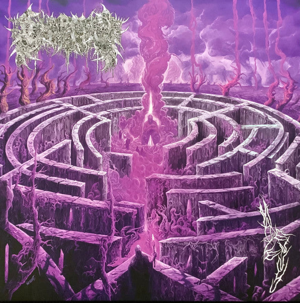 Maze Envy (PURPLE MAGENTA MERGE VINYL) | Mint (M) Mint (M) - METAL *NEW/COLOR*