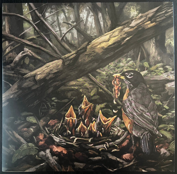 The Acacia Strain - Step Into The Light (VINYL LP RISE RISE 527-1 2023) | Mint (M) Mint (M) - METAL / NEW *SEALED*