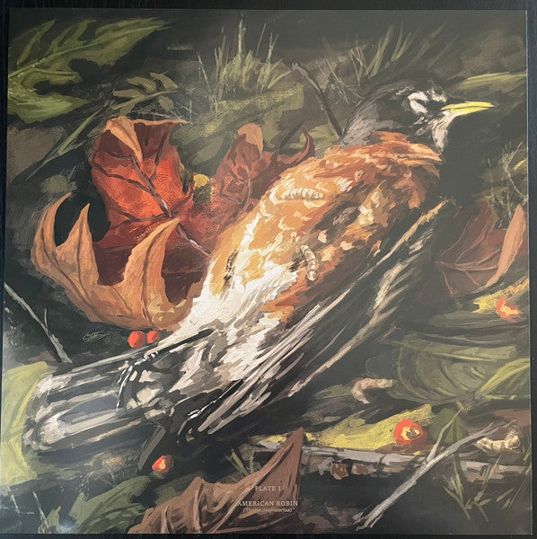 The Acacia Strain - Step Into The Light (VINYL LP RISE RISE 527-1 2023) | Mint (M) Mint (M) - METAL / NEW *SEALED*