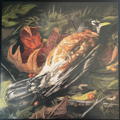 The Acacia Strain - Step Into The Light (VINYL LP RISE RISE 527-1 2023) | Mint (M) Mint (M) - METAL / NEW *SEALED*