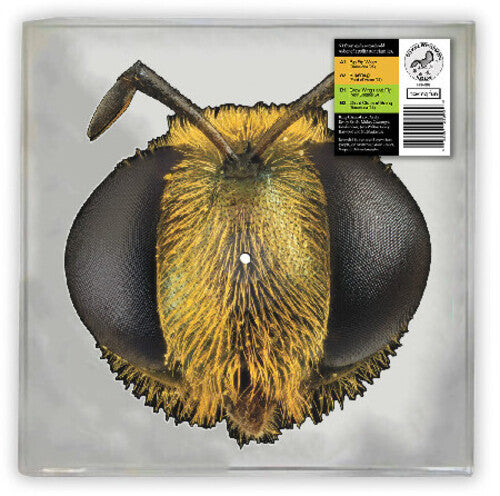 BIG FIG WASP (RSD 2026 VINYL) | Mint (M) Mint (M) - METAL *NEW*