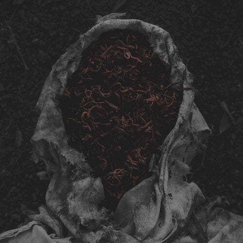 (PRE ORDER 4/24/26) Stillamentum (VINYL) | Mint (M) Mint (M) - METAL *NEW*