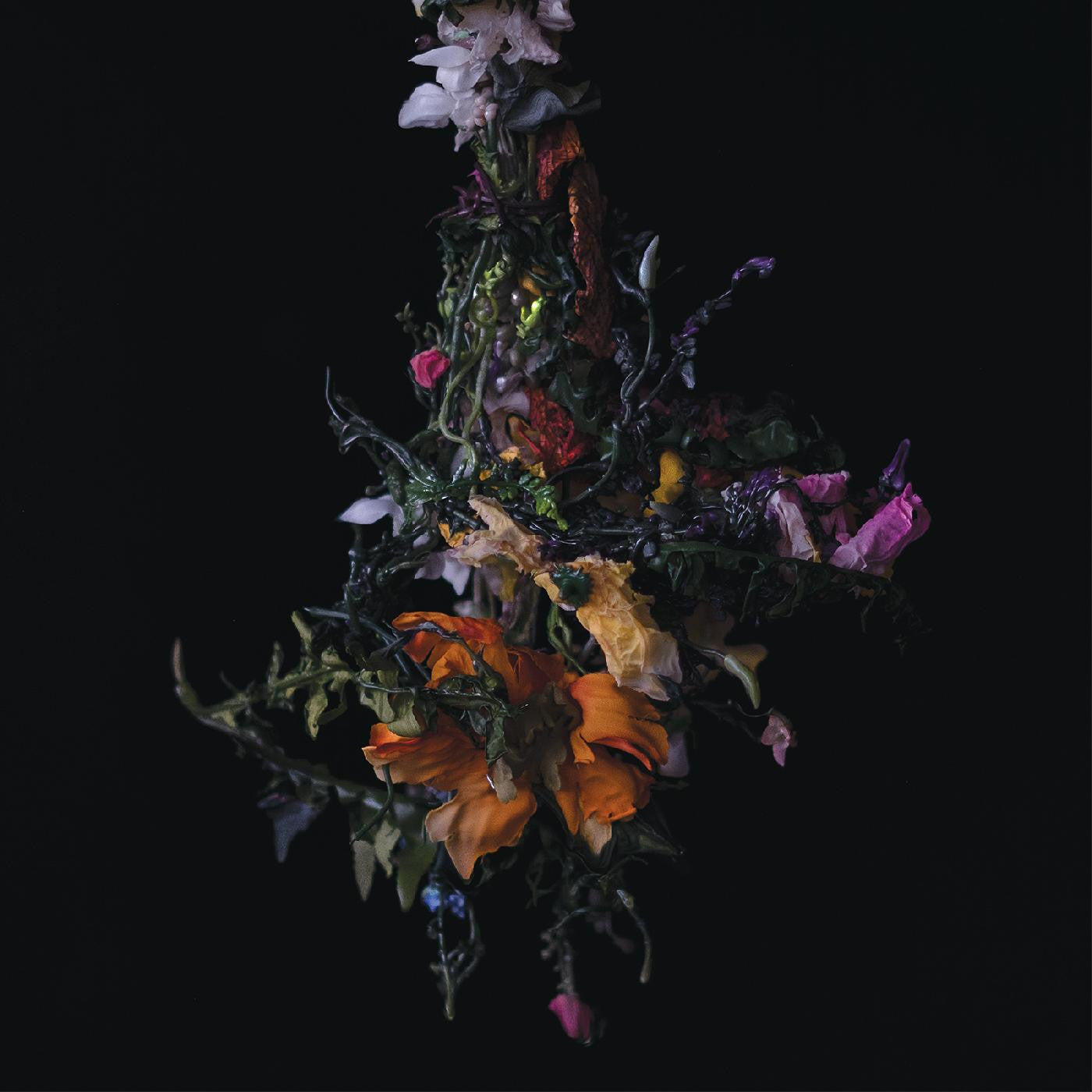 BIG|BRAVE - nature morte (CD) | - METAL *NEW*