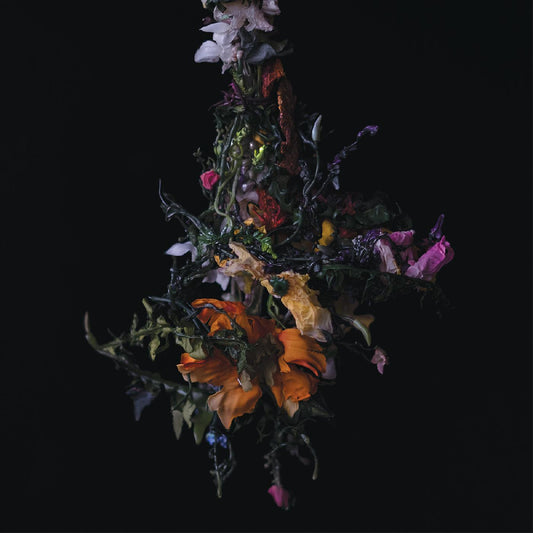 BIG|BRAVE - nature morte (CD) | - METAL *NEW*