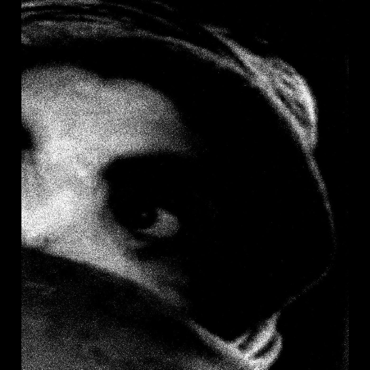 Body, The - The Crying Out of Things (CD) | - METAL *NEW*