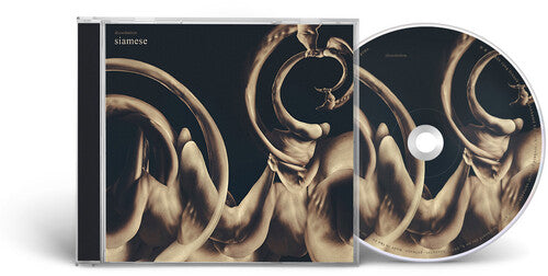 (PRESALE 6/26/26) Dissolution (CD) | Mint (M) Mint (M) - METAL *NEW*