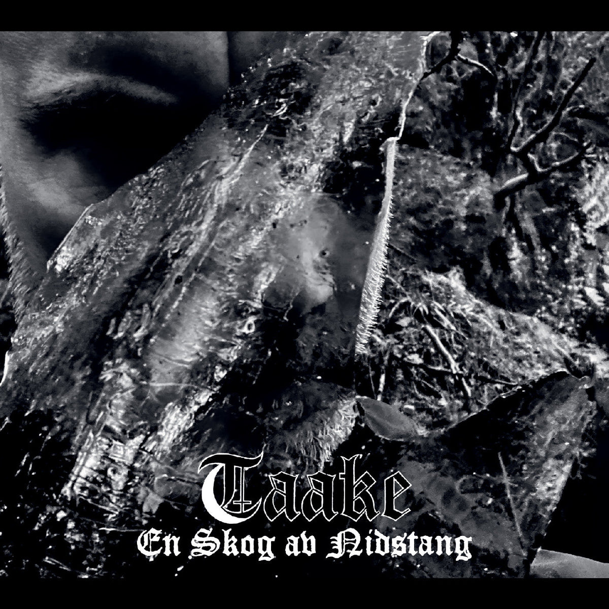 Taake - (PRESALE 8/21/26) En Skog av Nidstang (CD DARK ESSENCE CD-KAR-311 2026) | NEW Mint (M) Mint (M) - METAL *NEW*