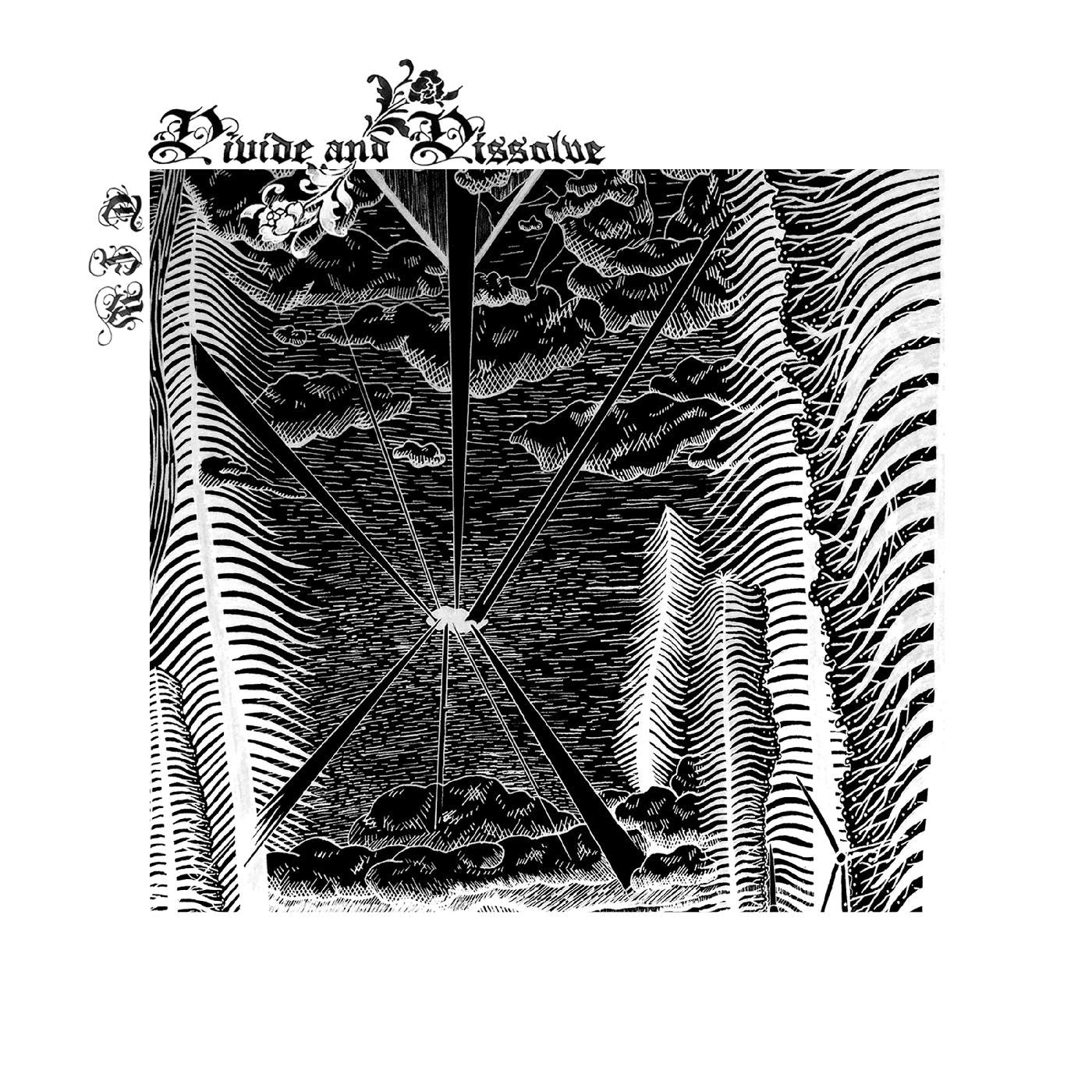 Divide and Dissolve - TFW (Vinyl) | - METAL *NEW*