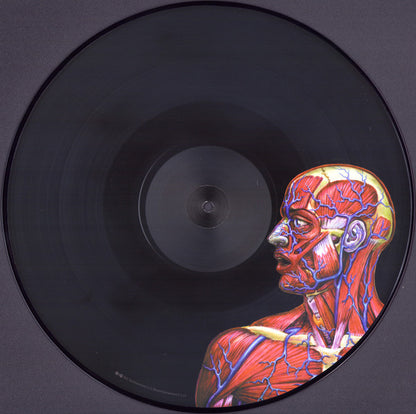 Lateralus | Mint (M) Mint (M) - METAL *PICTURE DISC*