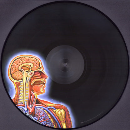 Lateralus | Mint (M) Mint (M) - METAL *PICTURE DISC*
