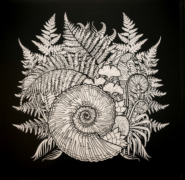 Phanerozoic I Palaeozoic (VINYL) | - METAL *SEALED*