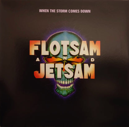 When The Storm Comes Down (VINYL) | - METAL *SEALED*