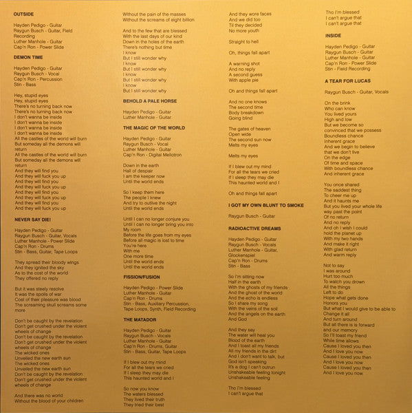 In The Earth Again (VINYL) | - METAL *SEALED*