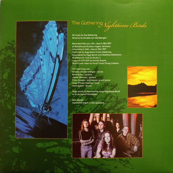 Nighttime Birds (VINYL) | - METAL *SEALED*