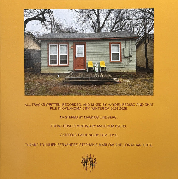 In The Earth Again (VINYL) | - METAL *SEALED*