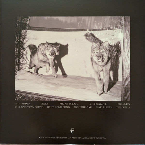 The Spiritual Sound (VINYL) | - METAL *SEALED*