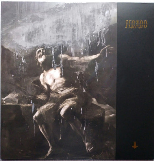 I Loved You At Your Darkest (2xLP) | Excellent+ (EX+) Near Mint (NM) - METAL / USED *EXCELLENT+*