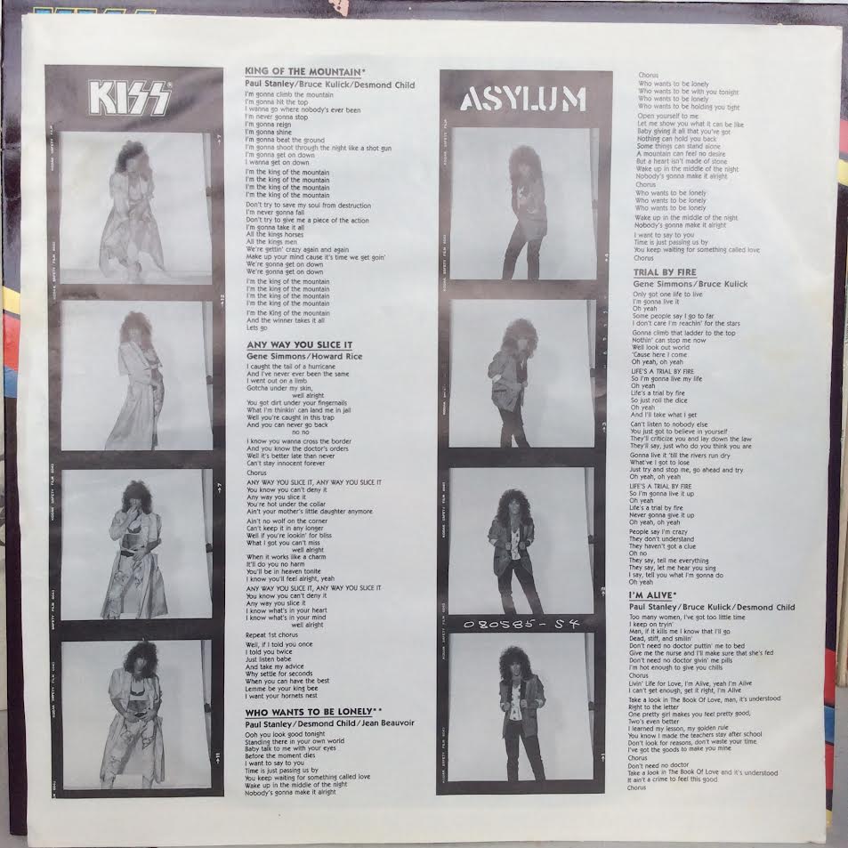 Asylum (VINYL) | Excellent+ (EX+) Near Mint (NM) - METAL / USED *EXCELLENT+*