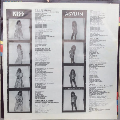 Asylum (VINYL) | Excellent+ (EX+) Near Mint (NM) - METAL / USED *EXCELLENT+*