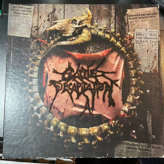 Decade Of Decapitation (COLOR VINYL BOX SET) | Excellent (EX) Excellent (EX) - METAL / USED *EXCELLENT*