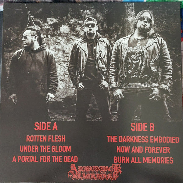 The Returns Of Fallen (VINYL) | Near Mint+ (NM+) Mint (M) - METAL / USED *NEAR MINT+*