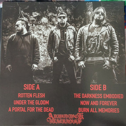 The Returns Of Fallen (VINYL) | Near Mint+ (NM+) Mint (M) - METAL / USED *NEAR MINT+*