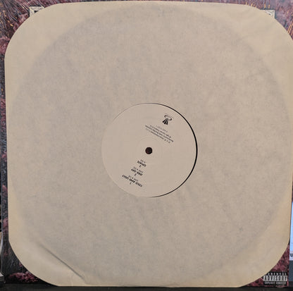 Opiate (VINYL) | Near Mint (NM) Near Mint (NM) - METAL / USED *NEAR MINT+*