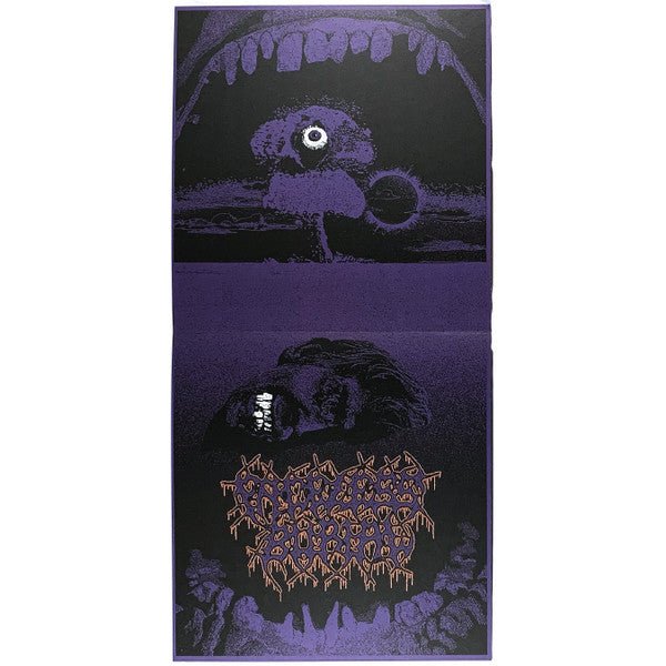 Speciation (VINYL) | Near Mint+ (NM+) Mint (M) - METAL / USED *NEAR MINT+*