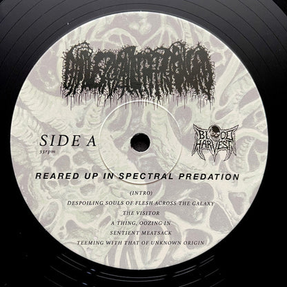 Reared Up in Spectral Predation (VINYL) | Near Mint+ (NM+) Mint (M) - METAL / USED *NEAR MINT+*