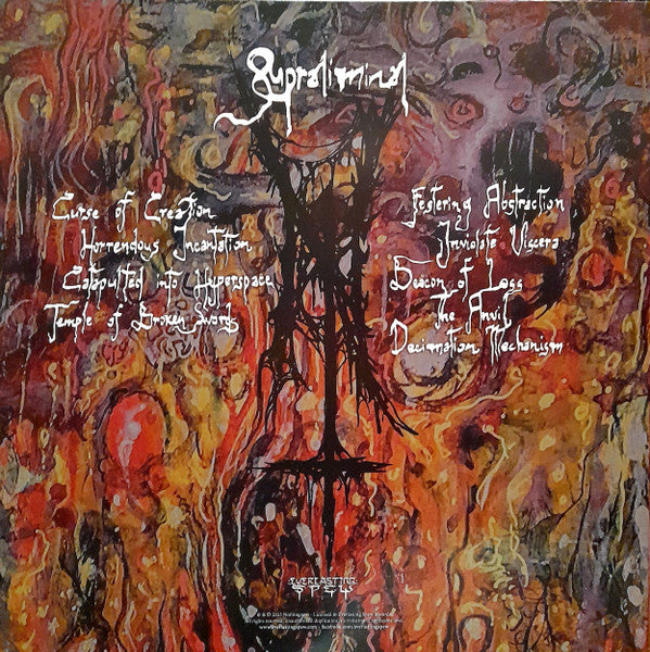 Supraliminal (VINYL) | Near Mint+ (NM+) Mint (M) - METAL / USED *NEAR MINT+*