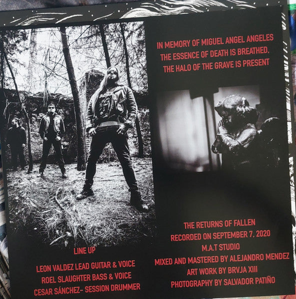 The Returns Of Fallen (VINYL) | Near Mint+ (NM+) Mint (M) - METAL / USED *NEAR MINT+*