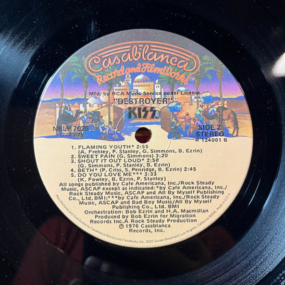 Destroyer (VINYL) | Near Mint- (NM-) Excellent+ (EX+) - METAL / USED *NEAR MINT-*