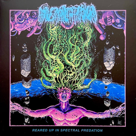 Reared Up in Spectral Predation (VINYL) | Near Mint+ (NM+) Mint (M) - METAL / USED *NEAR MINT+*