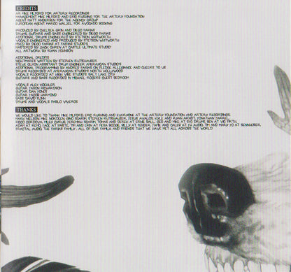 Ashes To Ashes | Near Mint (NM) Near Mint (NM)