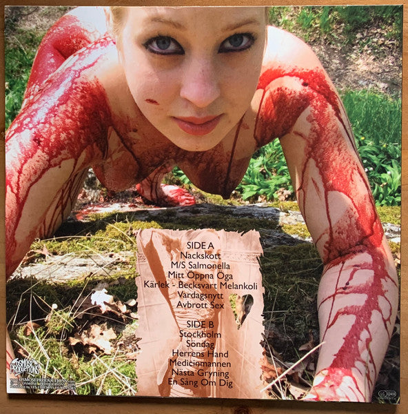 Pulver (VINYL) | Near Mint (NM) Near Mint (NM) - METAL / USED *NEAR MINT*