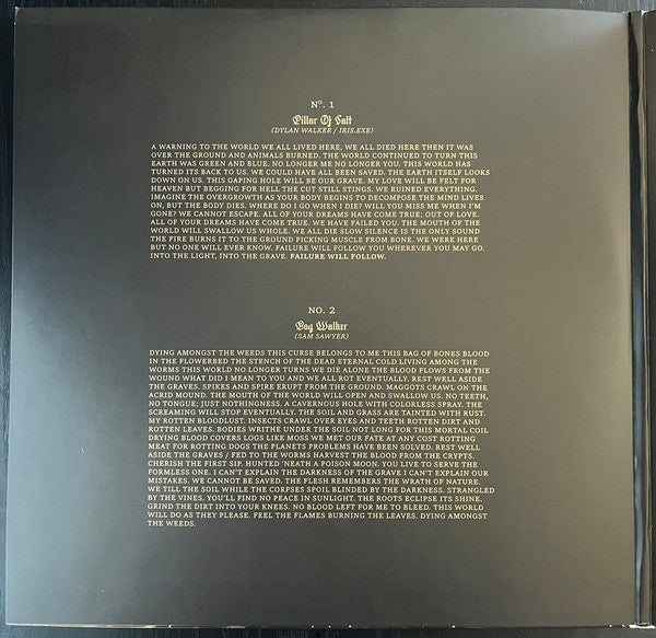 The Acacia Strain - Failure Will Follow (VINYL 2xLP RISE RISE 526-1 2023) | Near Mint (NM or M-) Near Mint (NM) - METAL / USED *NEAR MINT*