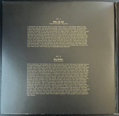 The Acacia Strain - Failure Will Follow (VINYL 2xLP RISE RISE 526-1 2023) | Near Mint (NM or M-) Near Mint (NM) - METAL / USED *NEAR MINT*