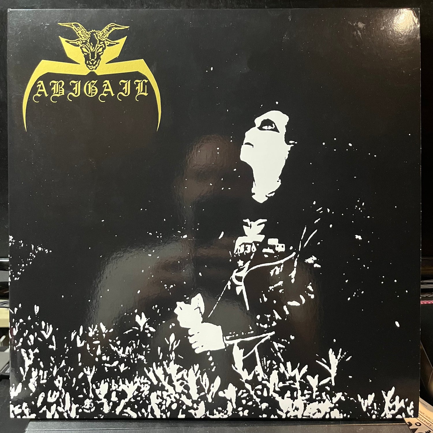 Abigail - The Lord Of Satan (YELLOW W BLACK SPLATTER VINYL 2xLP NUCLEAR WAR NOW! PRODUCTIONS ANTI-GOTH 188 2011) | USED Near Mint (NM or M-) Near Mint (NM) - METAL / USED *NEAR MINT*