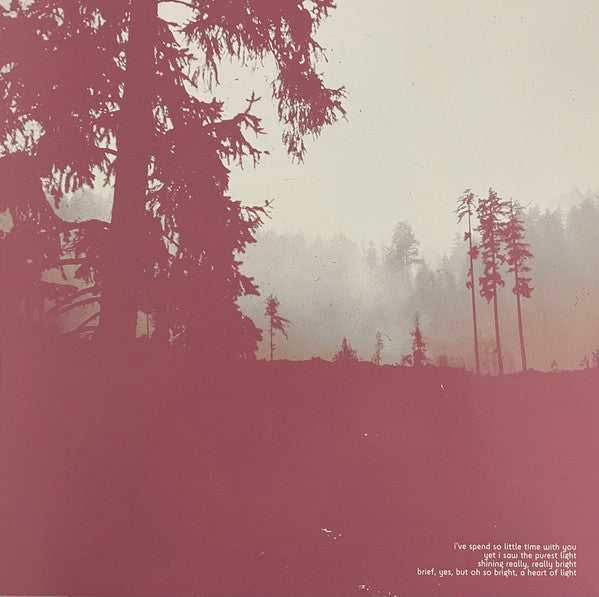 Try Not To Destroy Everything You Love (VINYL) | Near Mint (NM) Near Mint (NM) - METAL / USED *NEAR MINT*