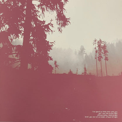 Try Not To Destroy Everything You Love (VINYL) | Near Mint (NM) Near Mint (NM) - METAL / USED *NEAR MINT*