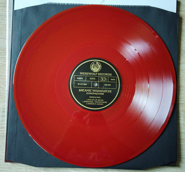 Aamongandr (VINYL) | Near Mint (NM) Near Mint (NM) - METAL / USED *NEAR MINT*