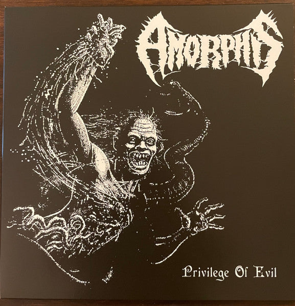 Privilege Of Evil (VINYL) | Near Mint (NM) Mint (M) - METAL / USED *NEAR MINT*