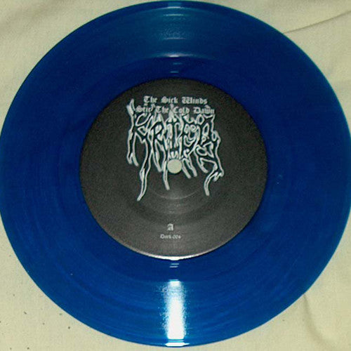 Untitled (7" VINYL) | Near Mint (NM) Near Mint (NM) - METAL / USED *NEAR MINT*