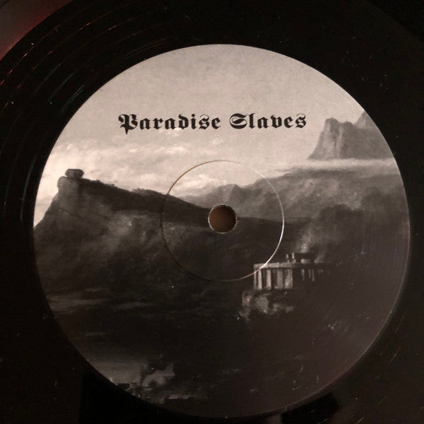 Tenth Region Of The Night & Paradise Slaves (VINYL) | Near Mint (NM or M-) Near Mint (NM) - METAL / USED *NEAR MINT*