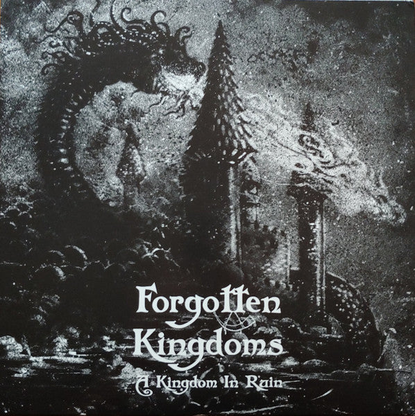 A Kingdom In Ruin (VINYL) | Near Mint (NM or M-) Near Mint (NM or M-) - METAL / USED *NEAR MINT*