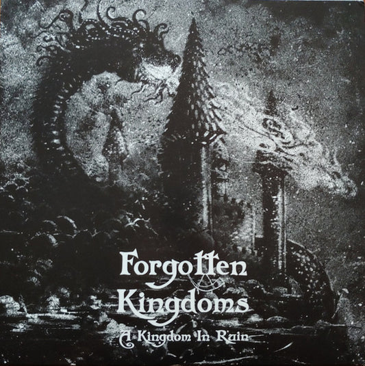 A Kingdom In Ruin (VINYL) | Near Mint (NM or M-) Near Mint (NM or M-) - METAL / USED *NEAR MINT*