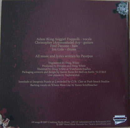 Psyopus - Our Puzzling Encounters Considered (VINYL 2xLP SILENT PENDULUM SPR031 2021) | - METAL / USED *NEAR MINT*