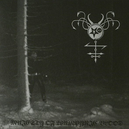 Majesty Of Wampyric Blood / Leichenfeuer (7") | Near Mint (NM) Near Mint (NM) - METAL / USED *NEAR MINT*