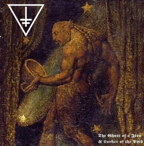 The Ghost Of A Flea & Lurker Of The Void (VINYL) | Near Mint (NM) Near Mint (NM) - METAL / USED *NEAR MINT*